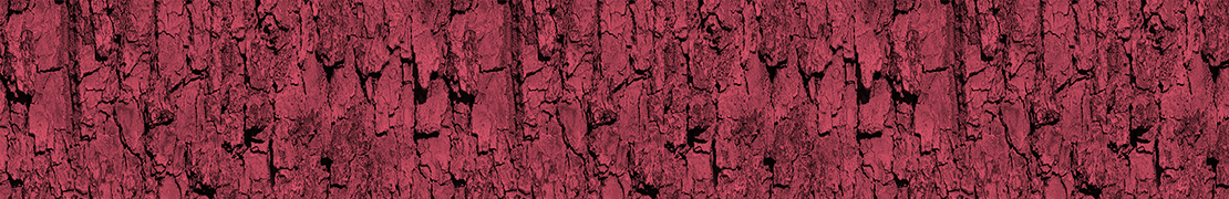 Portada de ale22