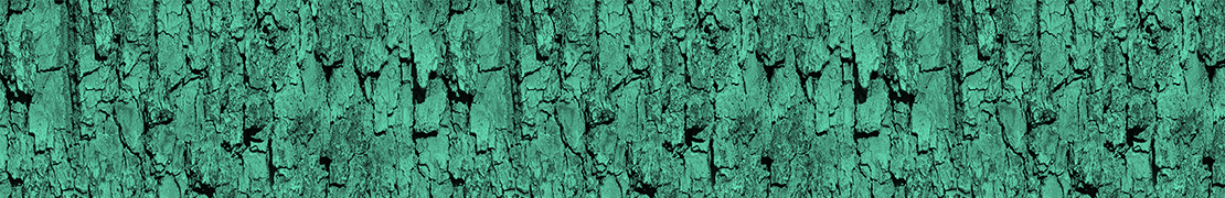 Portada de dansitop_