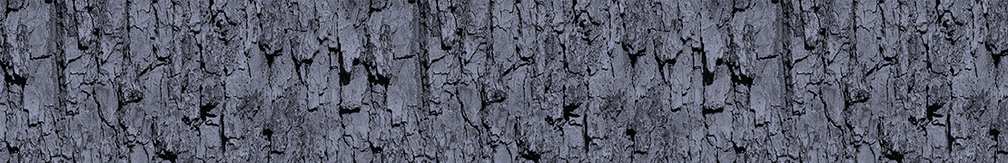 Portada de venyo