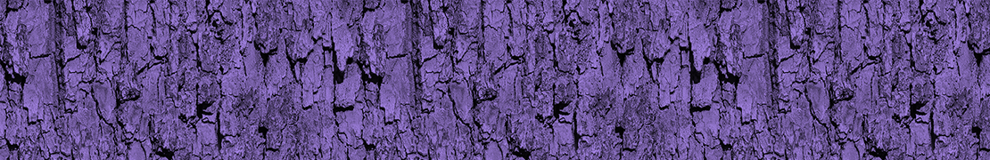 Portada de zou