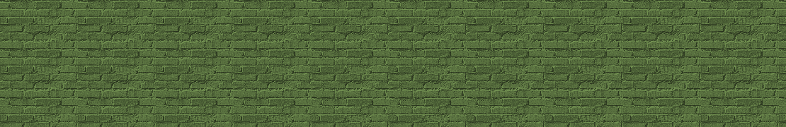 Portada de zenjii