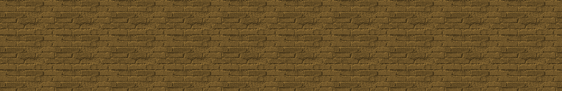 Portada de leyzerbik